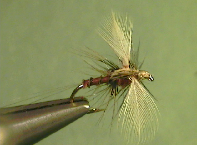 American March Brown Spinner - The Perfect Fly Store