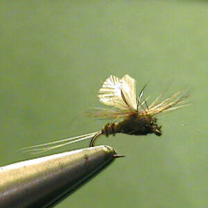 Blue Quill Archives - The Perfect Fly Store