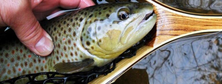 Fly Fishing On The Buffalo River, Wisconsin - The Perfect Fly Store