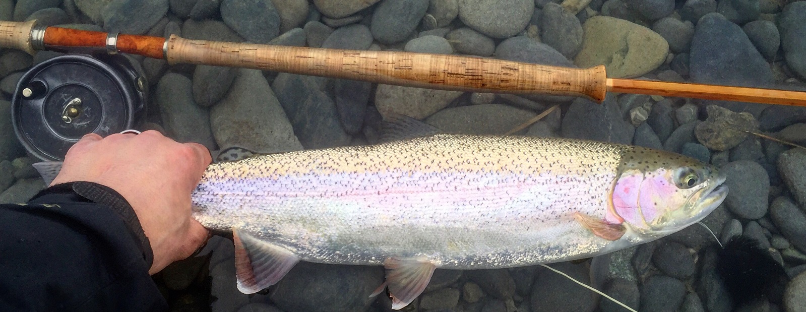 Fly Fishing Report On The Clearwater River In Idaho - The Perfect Fly Store