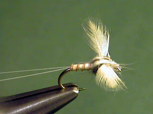 Cream Cahill Spinner - The Perfect Fly Store
