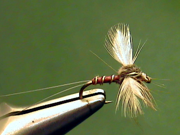 Dark Red Quill Spinner - The Perfect Fly Store