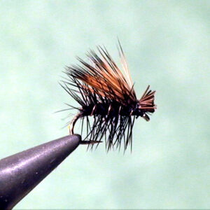 Black Elk Hair caddisfly