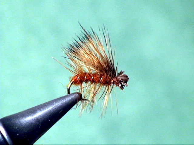 Elk Hair Caddis-Brown - The Perfect Fly Store