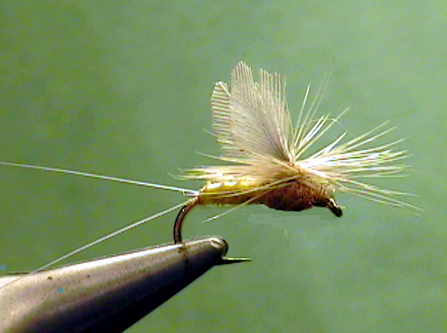 Gray-winged Yellow Quill Dun - The Perfect Fly Store