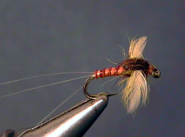 Hendrickson and Red Quill Spinner (Male) - The Perfect Fly Store
