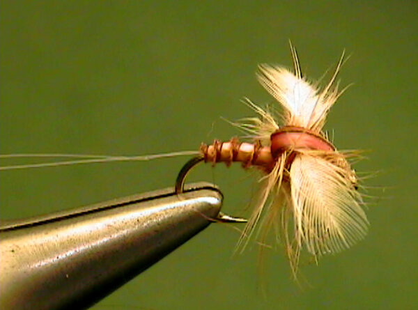 Light Cahill Spinner - The Perfect Fly Store