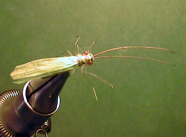 Little Green Stonefly Adult - The Perfect Fly Store