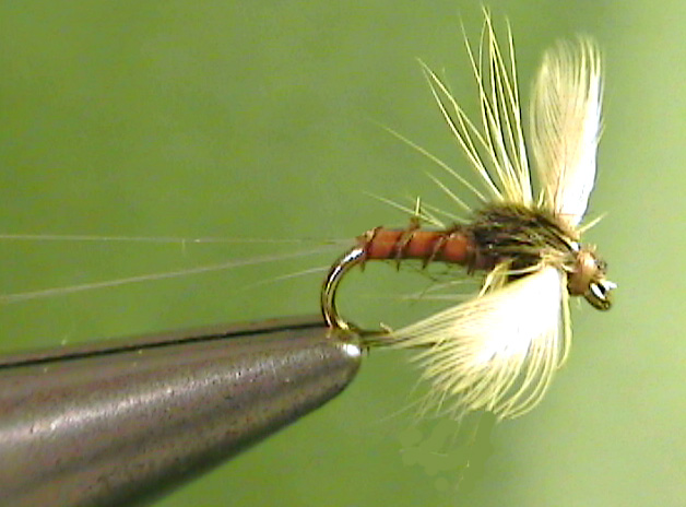 Little Yellow Quill Spinner - The Perfect Fly Store