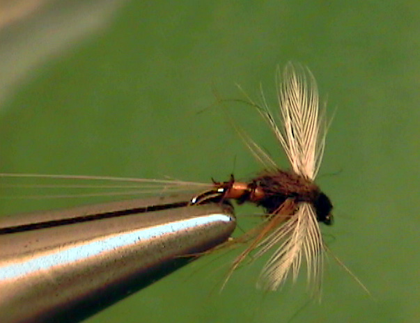 Mahogany Dun Spinner - The Perfect Fly Store