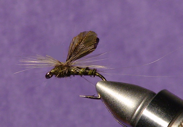 Quill Gordon Dun - The Perfect Fly Store