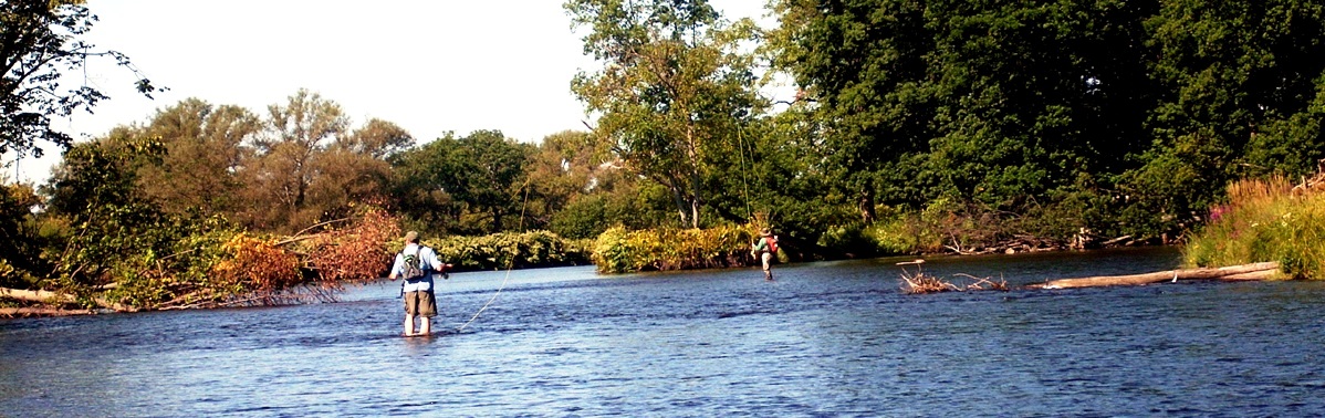 new york salmon fishing spots