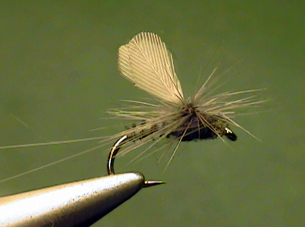 Slate Dun - The Perfect Fly Store