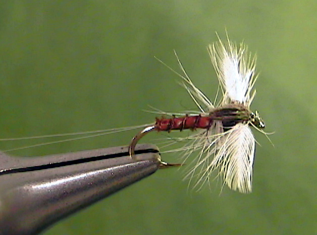 Small Western Green Drake (Flav) Spinner - The Perfect Fly Store