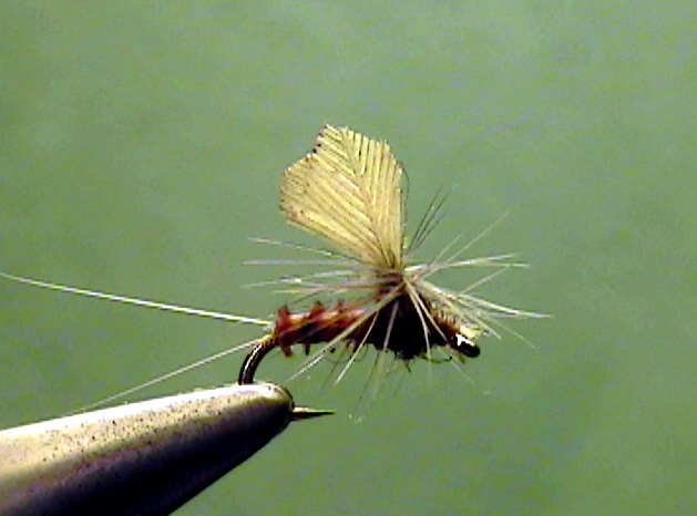 Trico Dun (Male) - The Perfect Fly Store
