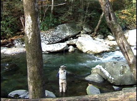 Fly Fishing On The West Prong Little Pigeon River River, Tennessee, GSMNP - The Perfect Fly Store