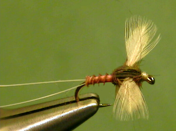 Western Ginger Quill Spinner - The Perfect Fly Store