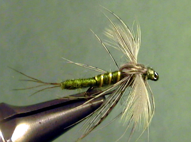 Western Green Drake Spinner - The Perfect Fly Store