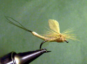 Yellow Drake Dun - The Perfect Fly Store