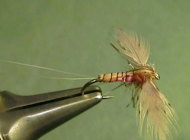Yellow Quill Spinner - The Perfect Fly Store