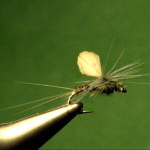 Blue-Winged Olives Archives - The Perfect Fly Store