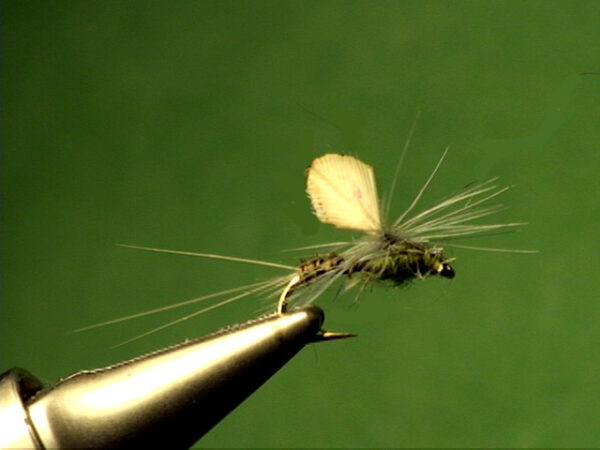Blue-Winged Olive Dun - The Perfect Fly Store
