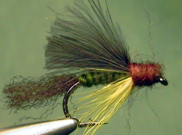 Eastern Green Drake Emerger with Trailing Shuck - The Perfect Fly Store