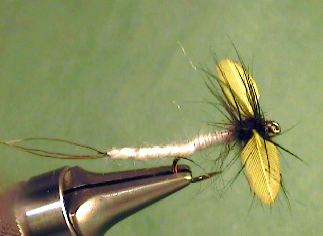 Eastern Green Drake Spinner (Male) - The Perfect Fly Store