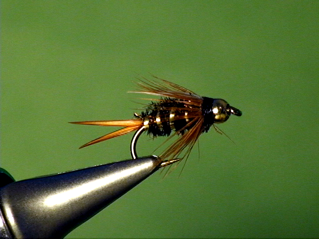 thumbnail image 2 of D-3 Bead Head Le Bug's – 1 Dozen Nymphs & Dry Flies (Colors & Sizes Available) 2 of 2