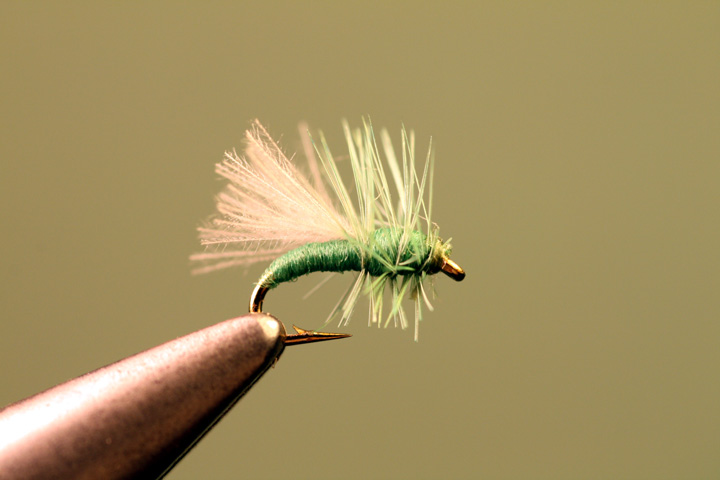 Light Green Adult Midge - The Perfect Fly Store