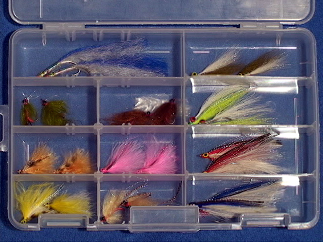 Inshore Fly Selection