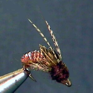 Little Black Caddisflies Archives - The Perfect Fly Store