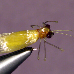 Little Yellow Stonefly - Yellow Sally Archives - The Perfect Fly Store