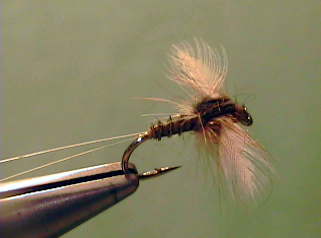 valuta Uitrusting lippen March Brown Spinner - The Perfect Fly Store