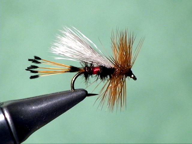 Hooks – Another Fly Story
