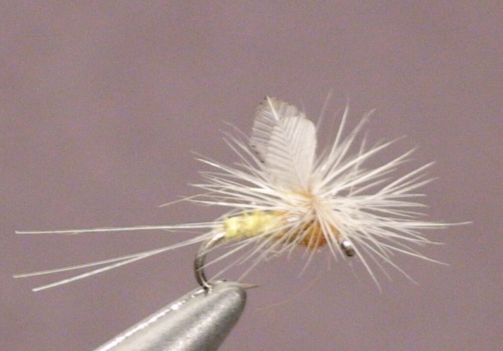 Sulphur Dun