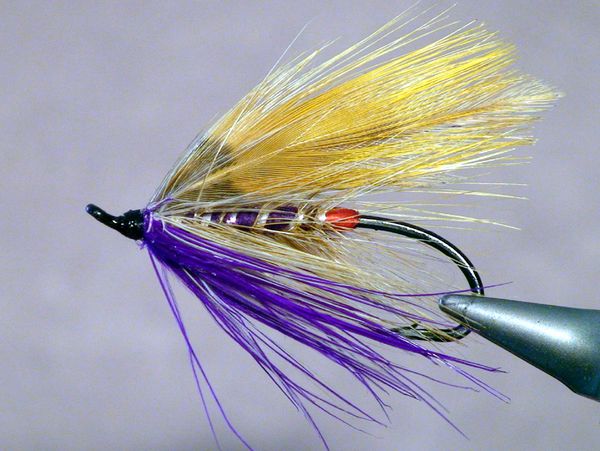 Perfect Fly Tropical Storm Spey - The Perfect Fly Store