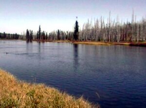 Fly Fishing On The Lewis River-Yellowstone National Park - The Perfect Fly Store