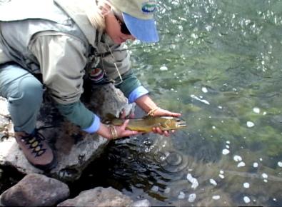 Angie wih a uncompahgre river cutthroat