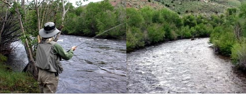 Fly Fishing Report On The Encampment River In Wyoming - The