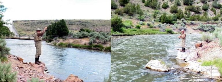 Fly Fishing Report On The Ruby River, Montana The