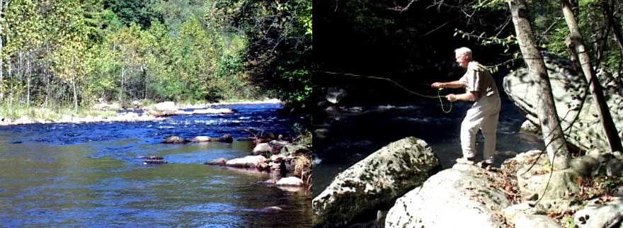Fly Fishing On The Savage River In Maryland - The Perfect Fly Store