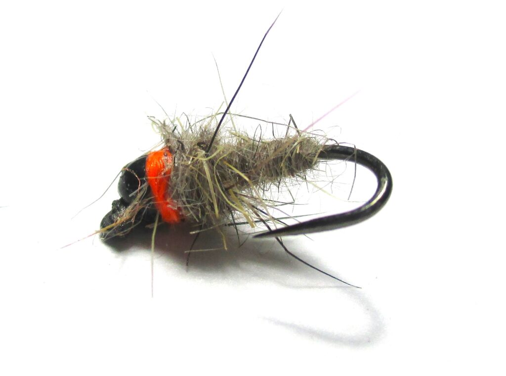 Walt’s Brown Worm