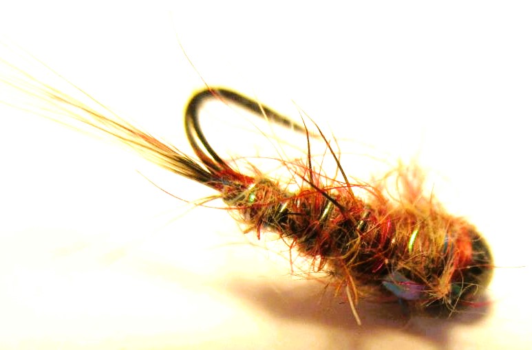Soft Hackle Carrot